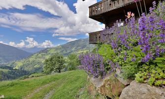 A picturesque landscape with colorful flowers in the foreground and a mountain panorama in the background. The sky is clear with some clouds.