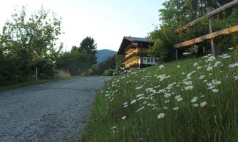 A picturesque path leads to a cozy house, surrounded by flowers and trees. In the background, gentle mountains are visible.