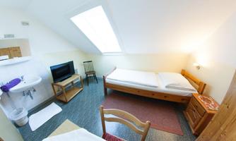 A simple room with a single bed, a television, and a washbasin. A window lets in plenty of light, and the furnishings are functional.