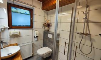 A modern bathroom with a shower and a sink. The wooden ceiling and windows create a bright atmosphere.