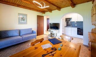 A cozy living room with a blue sofa, a wooden table, and an integrated kitchen. There is also a television and a warm wooden ceiling.