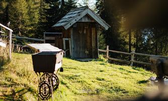 A small wooden cabin surrounded by green meadows and tall trees. The scene feels calm and idyllic.