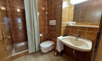 A small bathroom with brown tiles and a shower. There is a sink, a toilet, and a large mirror.