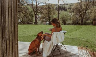 A person is sitting on a terrace with a dog. In the background, trees and a beautiful sky can be seen.