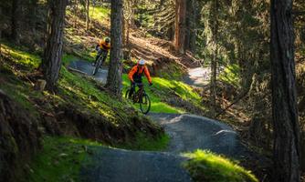 Two mountain bikers are riding on a winding path through a forest. The surroundings are green and sunny, with tall trees in the background.