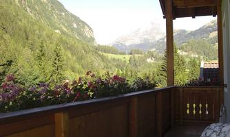 A beautiful balcony with blooming plants and a view of the mountains. The landscape is green and invites relaxation.