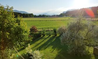 A green meadow with trees and bushes in the foreground. In the background, mountains can be seen under a clear sky.