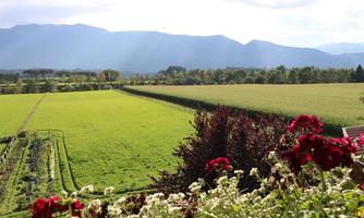 A picturesque landscape with a lush green field and mountains in the background. Colorful flowers in the foreground provide a beautiful contrast.