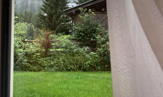 A view from the window shows a green garden with a pavilion and tall trees in the background. Fog envelops the hills, creating a calm and idyllic atmosphere.