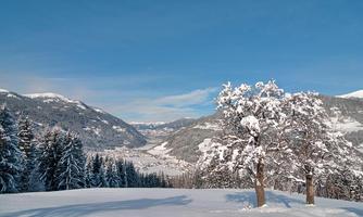 A snowy landscape with a clear blue sky and snow-covered trees. In the background, gentle hills and mountains can be seen.