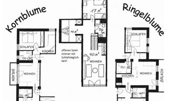 A floor plan sketch with three different apartments: Cornflower, Lovage, and Marigold. Each apartment shows the rooms and their usage, including bedrooms and living rooms.