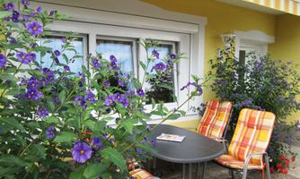 A cozy outdoor area with a round table and colorful chairs. Surrounded by purple flowers and a sunny yellow wall.