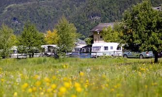 A peaceful landscape with meadow flowers and trees. In the background, there are camper vans and a house visible.