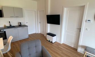 A modern apartment with an open kitchen and a cozy living area. The space is bright and welcoming with wooden flooring and modern furniture.