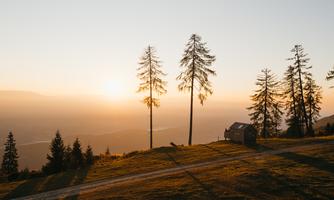 A quiet landscape with tall trees and a small cottage. The sunset bathes the scene in warm light.