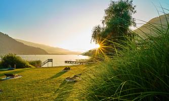 A picturesque landscape by the water with green meadows and shoreline trees. The sun rises on the horizon and illuminates the scene.