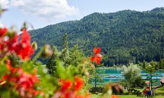 A picturesque landscape with green mountains and a clear blue lake. In the foreground, red flowers are blooming.