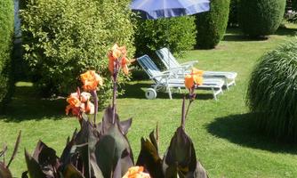 A beautiful garden with bright orange flowers. In the background, there are sun loungers and a blue sun umbrella.