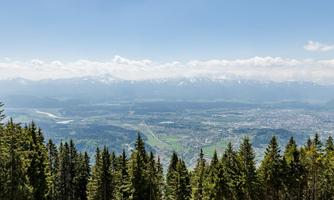 A wide view of mountains and valleys. In the foreground, dense coniferous trees are visible.