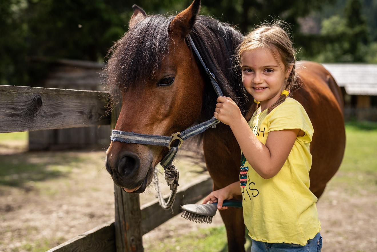 Trattlers Ponyfarm