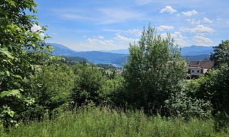 A green landscape with trees and shrubs. In the background, mountains and a clear blue sky are visible.