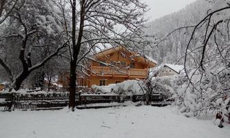 A winter landscape with a wooden house and snow-covered trees. The garden is covered with fresh, white snow.