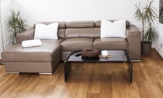 A modern living room with a beige couch and two white pillows. A black table and some plants complement the cozy atmosphere.