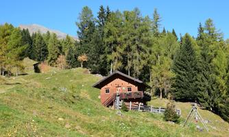 A cozy wooden cabin surrounded by green forests and gentle hills. In the background, mountains and a blue sky are visible.