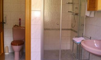 A bathroom with a shower cubicle and a sink. On the left side, a toilet is visible.