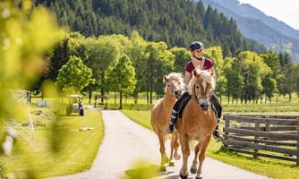 A rider on a horse is riding along a picturesque path. In the background, green trees and mountains can be seen.