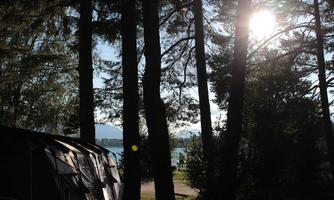 A peaceful campsite among tall trees. The sun shines brightly over the lake in the background.