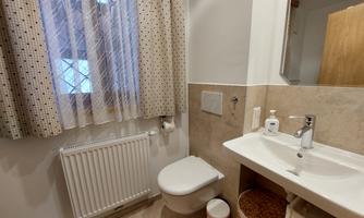 A small bathroom with a modern sink and a toilet. The windows are decorated with a curtain, and a radiator is visible.