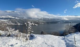 A winter landscape with snow-covered trees and a calm lake. The sky is clear and blue, with some clouds in the distance.