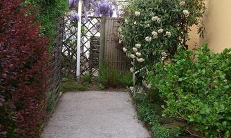 A narrow garden path with hedges and flowers on both sides. At the end of the path, there is a gate framed by plants.