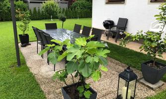 A cozy garden area with a large table and chairs under a sunshade. Plants and a lantern give the space an inviting atmosphere.