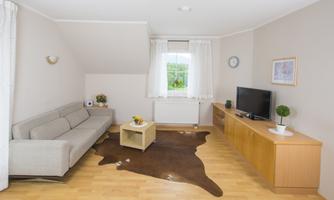 A cozy living room with a gray sofa and a wooden table. A television and decorative plants complete the decor.