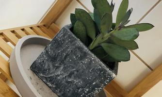 A modern plant in a gray pot is on a light saucer. The background consists of wooden shelves and white tiles.