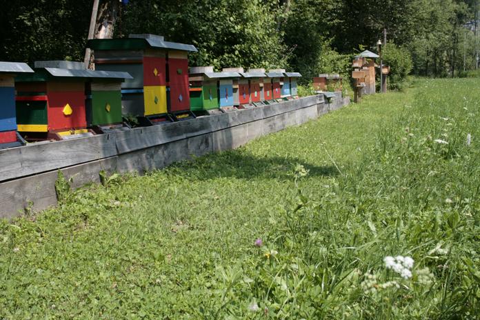 Bienenlehrpfad
