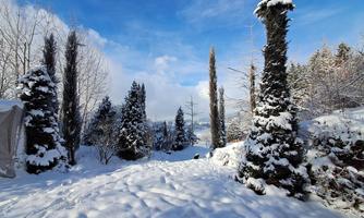 Country house Bonaventura with its winter garden featuring snow-covered trees and dreamy weather.