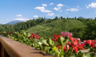 Balcony with mountain views