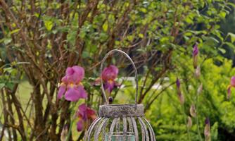 A decorative lantern stands on a table covered with a white tablecloth. In the background, green plants and colorful flowers can be seen.