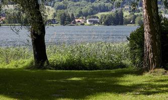 A peaceful landscape with a lake in the background and grassy shores. Trees frame the scene and provide a shady spot.