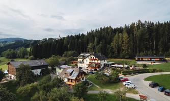 A picturesque village with several houses in a green landscape. Surrounded by trees and gentle hills, the scene conveys a calm and inviting atmosphere.