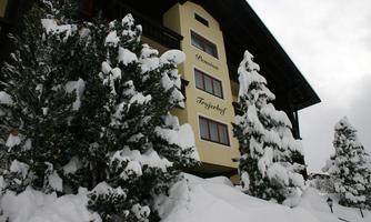 A beautifully decorated building in winter, surrounded by snow-covered trees. The sky is overcast, creating a tranquil atmosphere.