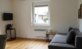A modern living room with a gray sofa and a stylish wooden floor. The room is bright and minimally furnished, featuring a window that lets in daylight.