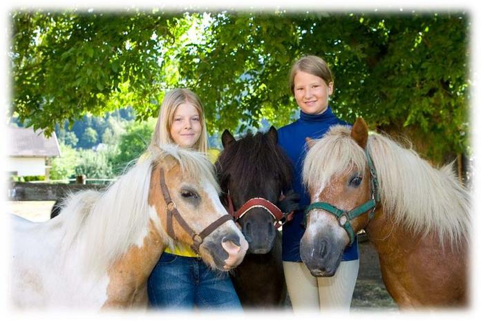 Pony-Farm Rothenthurn