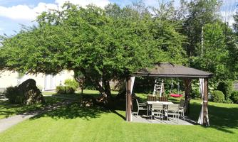 A beautiful garden with a pergola and a large tree. The space is green and inviting, ideal for relaxation outdoors.
