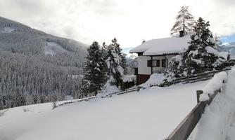 An idyllic house in the snow, surrounded by tall trees. The wintry landscape stretches over the hills in the background.