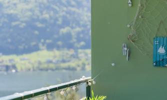 A balcony with a small table and a plant. In the background, green hills and a calm lake can be seen.