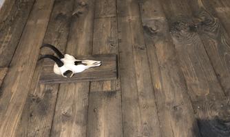 An animal head with horns hangs on a dark wooden wall. The rustic atmosphere gives the room a special charm.
